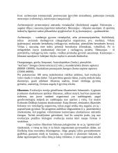 Laukinių gyvulių evoliucija 4 puslapis