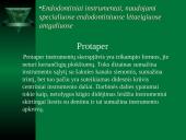 Mašininiai endodontiniai instrumentai 13 puslapis