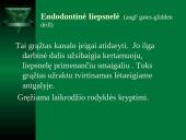 Mašininiai endodontiniai instrumentai 6 puslapis