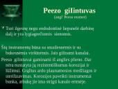 Mašininiai endodontiniai instrumentai 9 puslapis