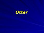 Otter classification