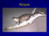 Otter classification 8 puslapis