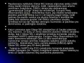 Saulės sistema plačiai 13 puslapis