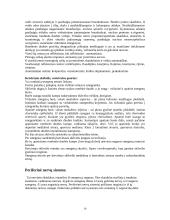 Smegenų anatomija 14 puslapis