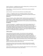 Smegenų anatomija 3 puslapis