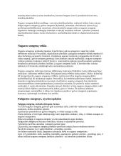 Smegenų anatomija 7 puslapis