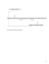 Strateginis valdymas: jo turinys ir principai 13 puslapis