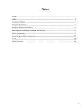 Strateginis valdymas: jo turinys ir principai 3 puslapis