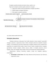 Strateginis valdymas: jo turinys ir principai 7 puslapis