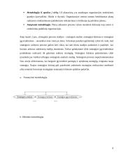 Strateginis valdymas: jo turinys ir principai 8 puslapis