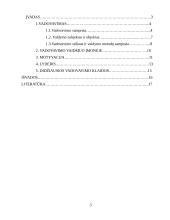 Vadovo ypatumai įmonėje. Vadovavimas 2 puslapis