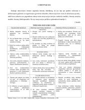 Vadovo ypatumai įmonėje. Vadovavimas 11 puslapis