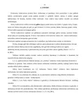 Vadovo ypatumai įmonėje. Vadovavimas 13 puslapis