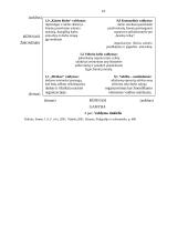 Vadovo ypatumai įmonėje. Vadovavimas 14 puslapis