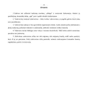 Vadovo ypatumai įmonėje. Vadovavimas 16 puslapis