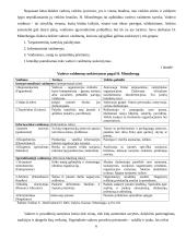 Vadovo ypatumai įmonėje. Vadovavimas 5 puslapis