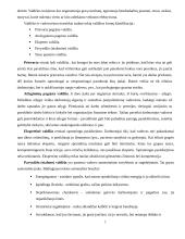 Vadovo ypatumai įmonėje. Vadovavimas 6 puslapis