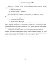 Vadovo ypatumai įmonėje. Vadovavimas 10 puslapis