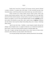 Verslo planas: kirpykla IĮ "Rivoleta" 3 puslapis