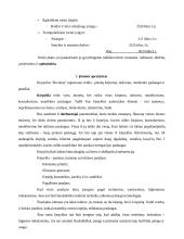 Verslo planas: kirpykla IĮ "Rivoleta" 5 puslapis