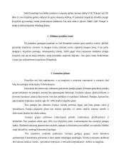 Verslo planas: kirpykla IĮ "Rivoleta" 6 puslapis