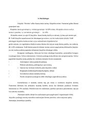 Verslo planas: kirpykla IĮ "Rivoleta" 7 puslapis