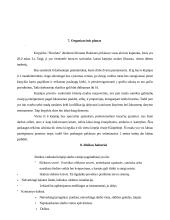 Verslo planas: kirpykla IĮ "Rivoleta" 8 puslapis