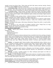 Psichiatrinė slauga 4 puslapis