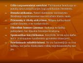 Abraham Harold Maslov. Humanistinė psichologija 7 puslapis