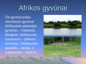 Afrika, Afrikos reljefas, miestai, gamta bei ištekliai 6 puslapis