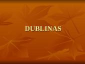 Airija ir jos provincijos 16 puslapis