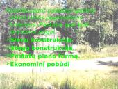 Akmens amžiaus gyvenamieji pastatai ir jų tipai 11 puslapis