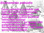 Akmens amžiaus gyvenamieji pastatai ir jų tipai 15 puslapis