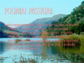 Akmens amžiaus gyvenamieji pastatai ir jų tipai 5 puslapis