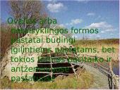 Akmens amžiaus gyvenamieji pastatai ir jų tipai 7 puslapis