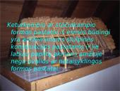 Akmens amžiaus gyvenamieji pastatai ir jų tipai 8 puslapis