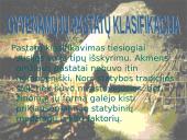 Akmens amžiaus gyvenamieji pastatai ir jų tipai 10 puslapis