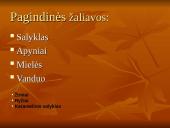 Alaus daryklos "Biržų alus" gamybos technologija 4 puslapis