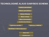 Alaus daryklos "Biržų alus" gamybos technologija 6 puslapis