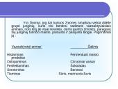 Alergijos ir netoleravimas 10 puslapis