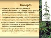 Alkoholio ir narkotikų sukeltos ligos 11 puslapis