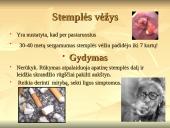 Alkoholio ir narkotikų sukeltos ligos 3 puslapis