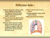 Alkoholio ir narkotikų sukeltos ligos 4 puslapis