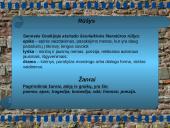 Antikos menas 7 puslapis