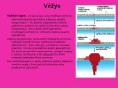 Antivėžinių vaistų klasifikacija. Jų farmakodinamika 2 puslapis