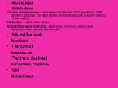 Antivėžinių vaistų klasifikacija. Jų farmakodinamika 12 puslapis