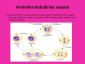 Antivėžinių vaistų klasifikacija. Jų farmakodinamika 13 puslapis