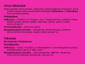 Antivėžinių vaistų klasifikacija. Jų farmakodinamika 14 puslapis