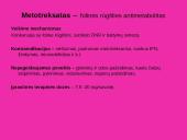 Antivėžinių vaistų klasifikacija. Jų farmakodinamika 7 puslapis