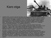 Antrojo pasaulinio karo priežastys, eiga, pasekmės bei karas Lietuvoje 11 puslapis
